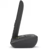Telefone analógico/DECT Gigaset C575A