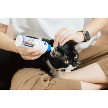 Solução de cuidados auriculares VIRBAC EPI-OTIC 125 ml – limpeza veterinária de ouvidos para cães e gatos