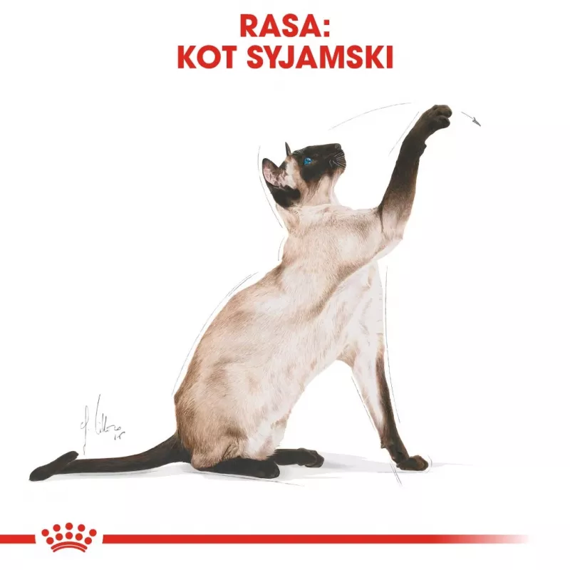 Royal Canin Siamese Adult ração seca para gatos, 2 kg
