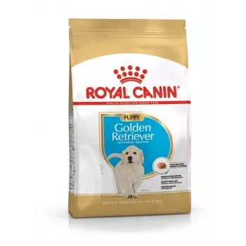 Ração seca para cães Royal Canin Golden Retriever Junior 12 kg — aves, 29% proteína, 16% gordura