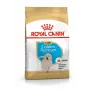 Royal Canin Golden Retriever Puppy ração seca para cães, 12 kg