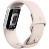 Fitbit GA05185-EU Produto Prateado