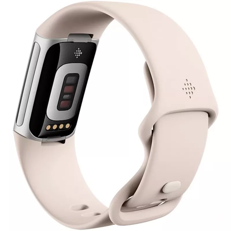 Fitbit GA05185-EU Produto Prateado