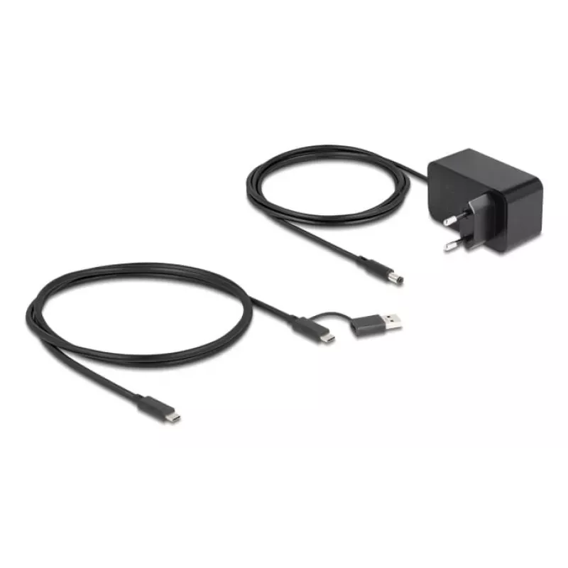 DeLOCK 64326 hub de interface USB 3.2 Gen 2 (3.1 Gen 2) Type-C 10000 Mbit/s preto