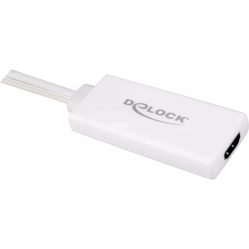 Delock - Adaptador de vídeo / áudio - USB, 15 pinos D-Sub (DB-15) macho para HDMI fêmea - 25cm - branco (62460)