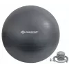 Bola de ginástica Schildkröt Fitness 960158 85 cm cinzenta
