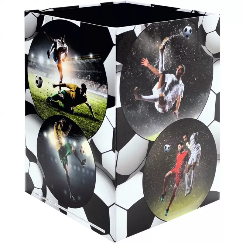 Papelão HERMA Football 19739