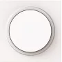 Placa central BJ 6540-44G-102 dimmer rotativo com botão rotativo branco 1 (2CKA006599A3052)