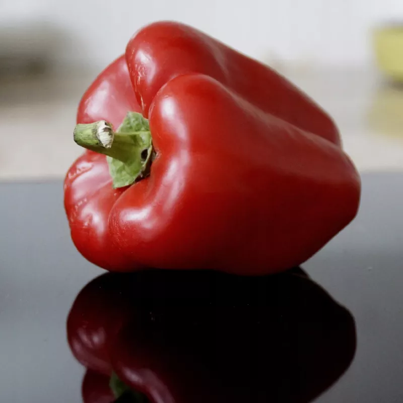 PNOS pimento Jolanta sementes de hortícolas, 0,5 g