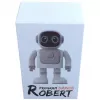 Altifalante Bluetooth ALLNET Robert com controlo por app – modelo Robert