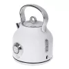 Chaleira elétrica Adler 1,7 l 2200 W metallic white