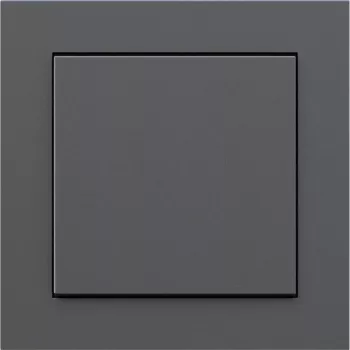 Interruptor de luz sem fios Senic Friends of Hue antracite 81x81x17 mm
