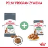 Royal Canin Digestive Care Adult ração seca para gatos, 10 kg, peixe, aves, arroz, legumes