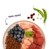 BOSCH Sanabelle Adult Ostrich & Blueberries - ração seca para gatos - 2kg