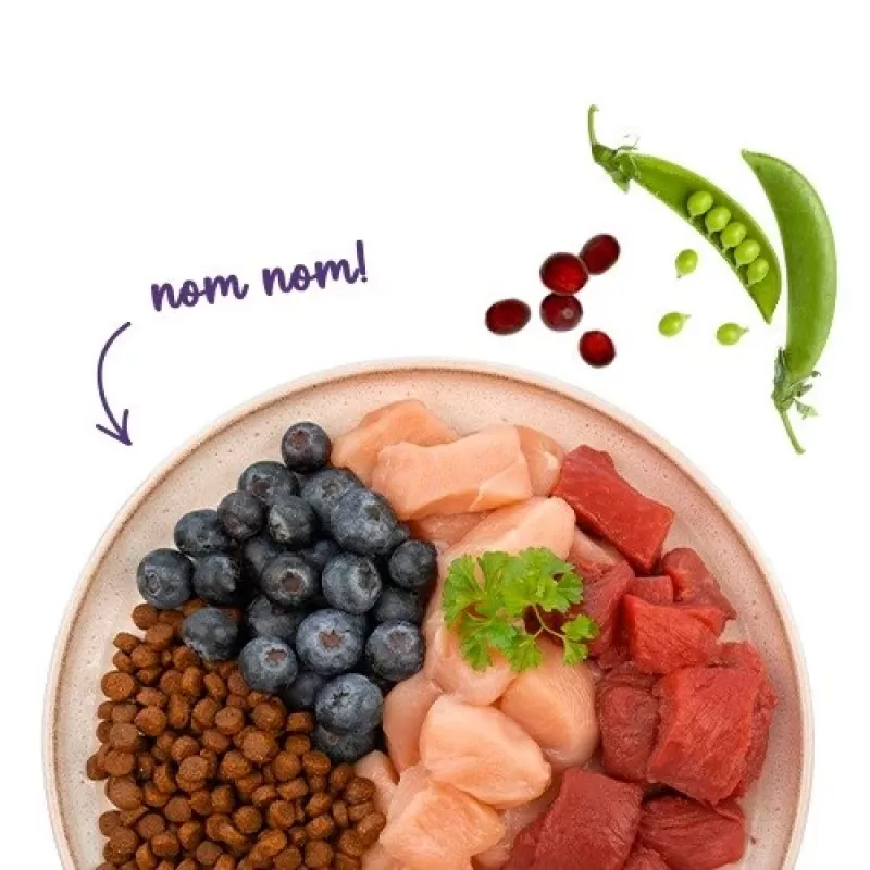 BOSCH Sanabelle Adult Ostrich & Blueberries - ração seca para gatos - 2kg