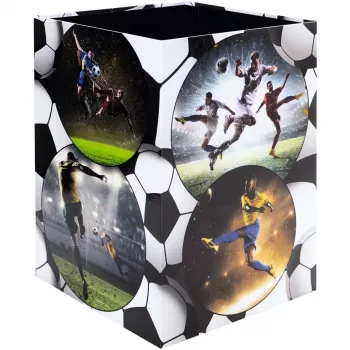 Papelão HERMA Football 19739