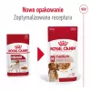 ROYAL CANIN SHN Medium Adult in Sauce - Comida húmida para cães adultos - 10x140g