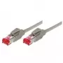 Cabo de rede Ethernet Tecline 71707 cinzento