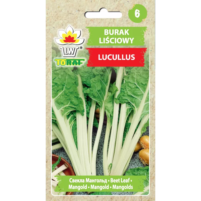 Sementes de hortícolas acelga Lucullus Toraf, pacote 5g