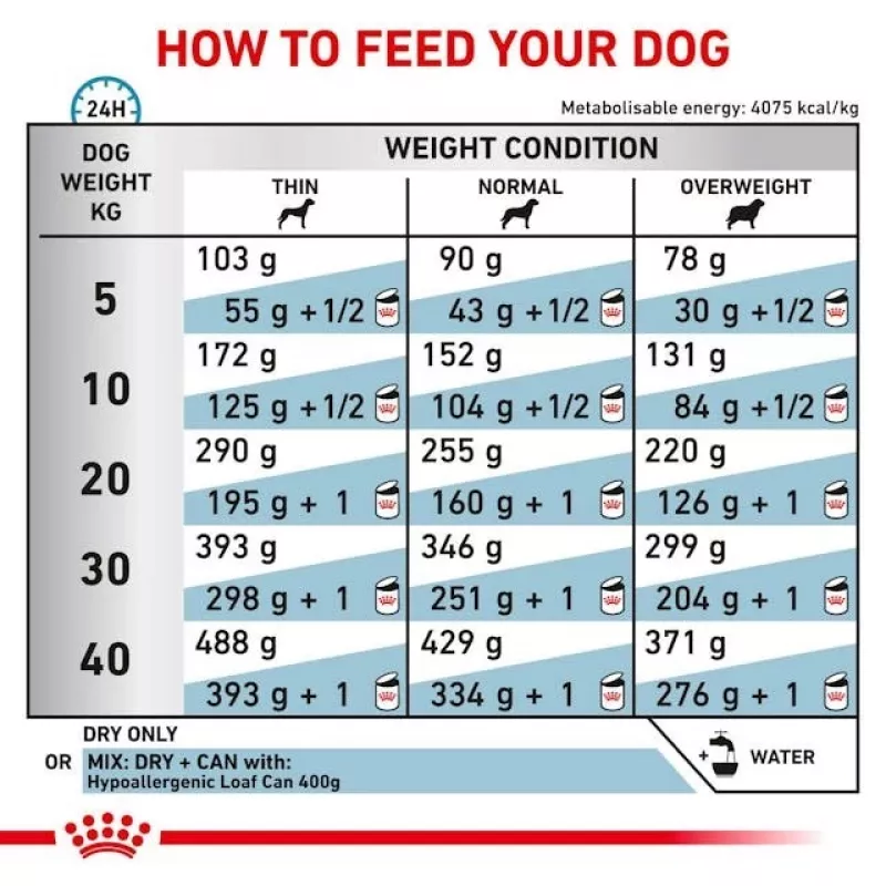 Comida seca para cães Royal Canin Hypoallergenic fórmula veterinária, 2 kg, aves, cães adultos, sem glúten