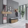Sapateira fechada Top e Shop PARMA — antracite e carvalho, aglomerado, 1000×490×350 mm
