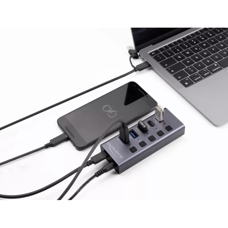 Hub USB Delock 64248 5 Gbit/s 2 x Type-A 2 x Type-C 1 porta de carregamento rápido