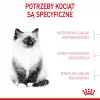 Royal Canin Kitten comida seca para gatos 2 kg