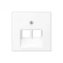 Placa de parede / tampa de interruptor Jung A569-2BFPLUAWWM branco mate, 1 unid.