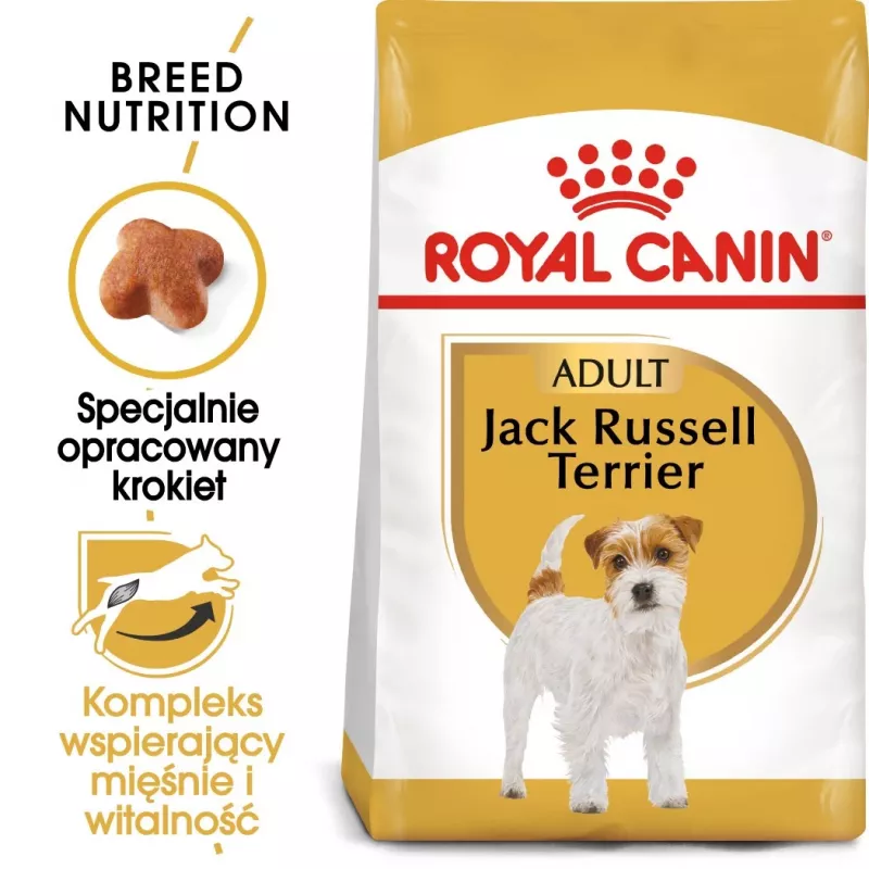 ROYAL CANIN Jack Russell Adult ração seca para cães - 1,5 kg