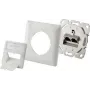 Renkforce tomada de rede embutir CAT 6 2 portas branco pérola (RF-4393024)