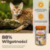 INABA Churu Varieties Chicken - guloseimas para gatos - 50 x 14g
