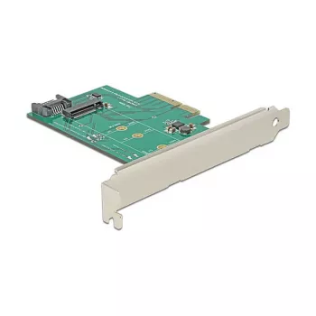 Placa de interface DeLOCK 89381 interna M.2 SATA