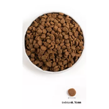ORIJEN Original Dog - Alimento seco para cães - 11,4 kg