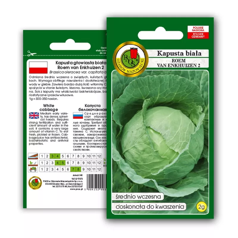 PNOS couve branca Roem Van Enkhuizen 2 sementes de hortícolas, 2 g