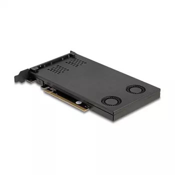 Suporte de placa Delock PCI Express x16 para 2 x M.2 NVMe SSD bifurcação 47042