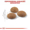Ração seca para gatos Royal Canin Active Life Outdoor 4 kg — adulto, aves, 30% proteína, 20% gordura