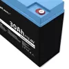 Bateria recarregável LiFePO4 QOLTEC 12,8V 30Ah 384Wh com BMS