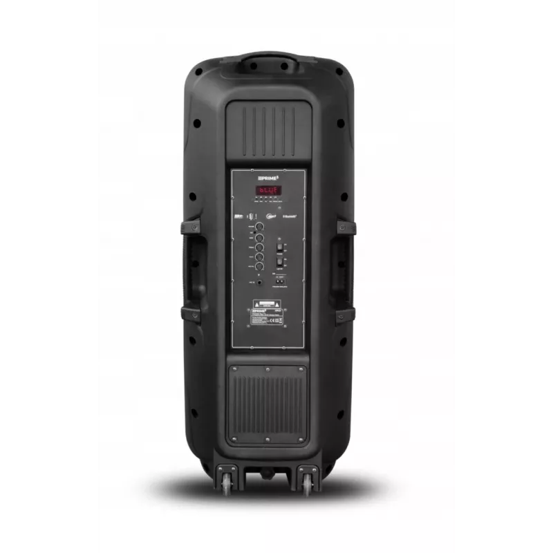 Altifalante portátil APA24 Bluetooth Karaoke, preto