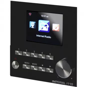 DABMAN i110 Rádio Internet Wi-Fi + função de leitor multimédia. Wood