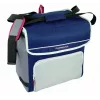 Arca frigorífica Campingaz Fold`N Cool 30 L azul cinzento