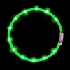 Coleira LED Anicoll verde para cães e gatos modelo iluminação recarregável