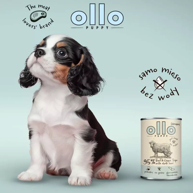 OLLO Puppy Umami Beef and Green Tripe with Duck Liver – comida húmida para cães – 850g