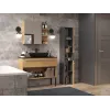 Topeshop NEL I ANT/ART armário de casa de banho grafite, carvalho