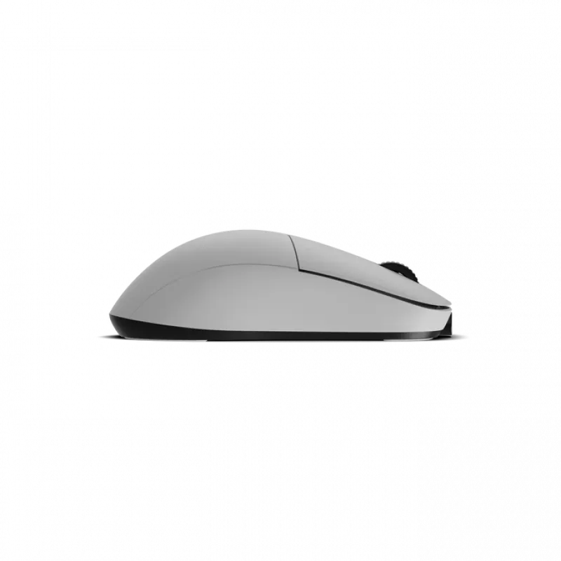 Rato Endgame Gear XM2w 4k Wireless
