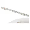 Synergy 21 Fita Flex LED 5050 - 60 RGB DC24V + RGB-W one chip nw IP68