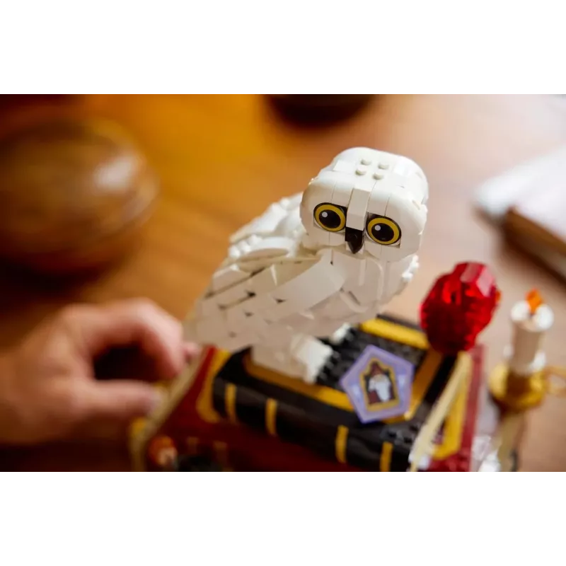 LEGO HARRY POTTER 76466 A Pedra Filosofal - Edição de colecionador