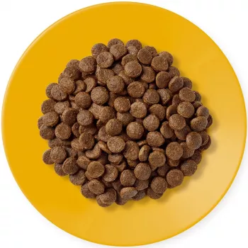 APPLAWS Adult Chicken - Alimento seco para gatos - 400 g