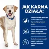 HILL'S PD D/D Food Sensitivities, pato e arroz - alimento seco para cães - 4 kg