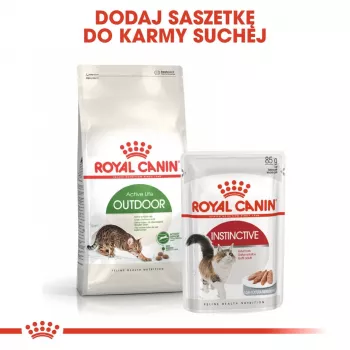 Ração seca para gatos Royal Canin Active Life Outdoor 4 kg — adulto, aves, 30% proteína, 20% gordura
