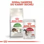 Ração seca para gatos Royal Canin Active Life Outdoor 4 kg — adulto, aves, 30% proteína, 20% gordura